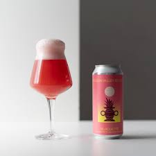 Hudson Valley Beers Pink Lemonade Silhouette - BKLYN Larder